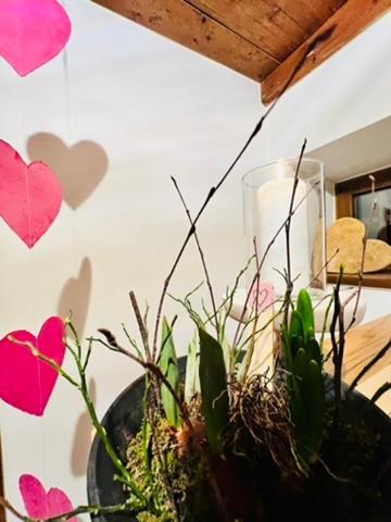 לינה וארוחת בוקר זאלבך הינטרגלם Hochwart Hof Bed & Breakfast מראה חיצוני תמונה